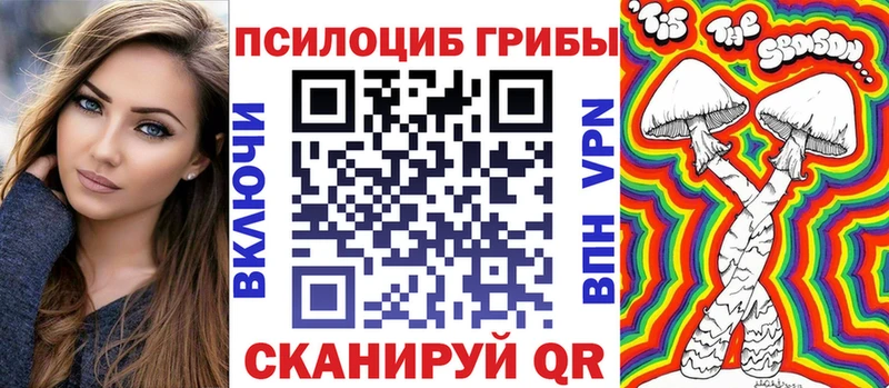 Купить закладки  Алзамай  Псилоцибиновые грибы прущие грибы 
